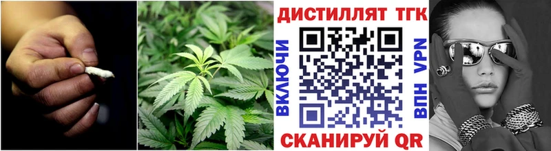 как найти закладки Шенкурск Дистиллят ТГК Wax