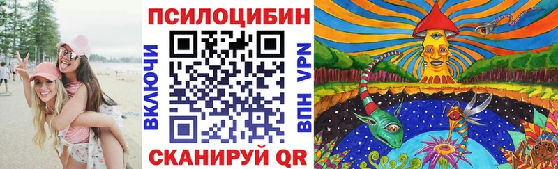 даркнет официальный сайт  Шенкурск  Галлюциногенные грибы мухоморы  blacksprut сайт 